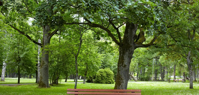 Parkovima protiv klimatskih promjena u Kninu